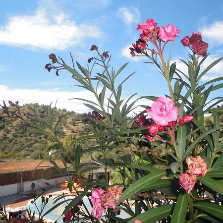 Casa El Corasueno Bed & Breakfast